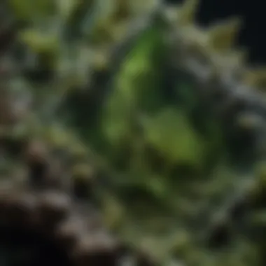 A close-up view of moldavite showcasing its unique texture and vibrant green color