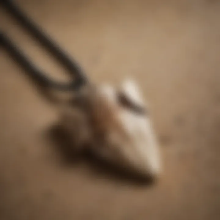 A close-up of a shark tooth necklace highlighting its unique texture