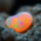 Vibrant Play of Color in Ethiopian Opal Ethiopian opal showcasing its vibrant play of color