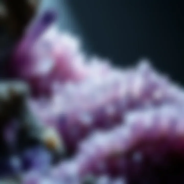 Natural Geological Formation of Amethyst Crystals Geological formation where amethyst crystals are naturally occurring