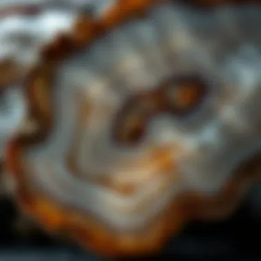 Intricate Banding Patterns of Turkish Agate Close-up view of a polished Turkish agate showcasing its intricate banding patterns