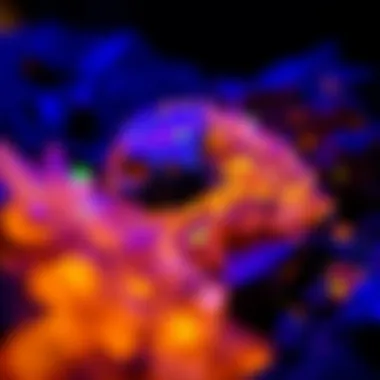 Mineral Fluorescence Revealed by UV Light Illuminated minerals under UV light