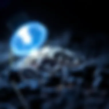 Field Use of UV Light in Fossil Identification Field application of portable UV light on a fossil