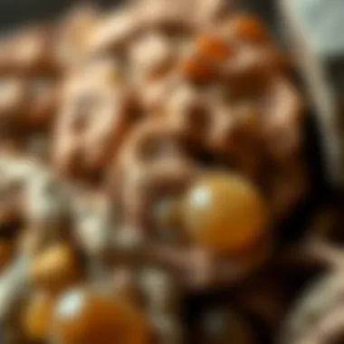 Textures and Colors of Organic Materials Close-up of organic materials used in jewelry design highlighting textures and colors