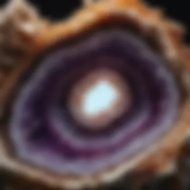 Cross-section of a geode revealing its internal structure and minerals