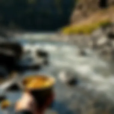 Natural Gold Panning Environments A scenic view of a river where gold panning occurs