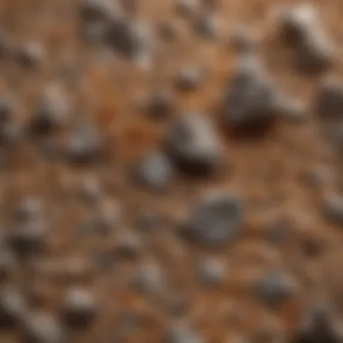 Detailed Grit Grains Examination A close-up view of grit grains, illustrating the different grades and their significance in the tumbling process.