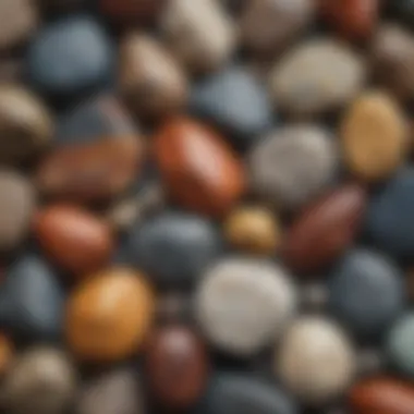 A close-up of various unique rock specimens showcasing their colors and textures.