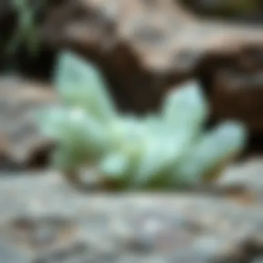 Large specimen of light green crystal on a natural stone surface