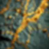 A geological map highlighting historical gold mining locations