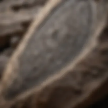 Close-up of Dremel tool engraving intricate patterns on rock surface