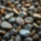 An array of Petoskey stones in various shapes and sizes, showcasing their natural beauty and uniqueness.