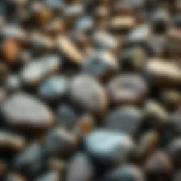 An array of Petoskey stones in various shapes and sizes, showcasing their natural beauty and uniqueness.