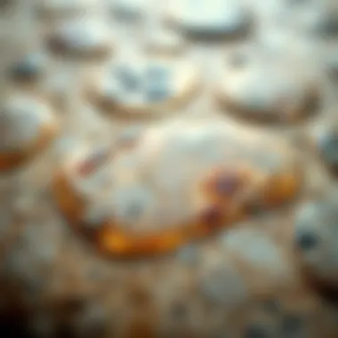 Intricate Patterns of a Polished Petoskey Stone A close-up view of a polished Petoskey stone highlighting its intricate patterns and textures.