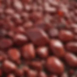 A vivid display of various red mineral stones showcasing their unique textures.