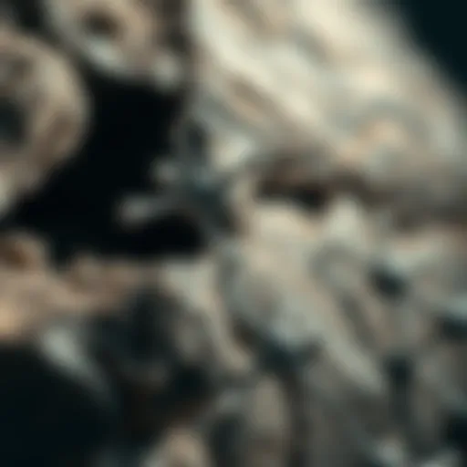 Chemical structure of rock adhesive compounds
