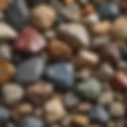 A close-up view of a diverse collection of rocks and minerals showcasing their unique textures and colors