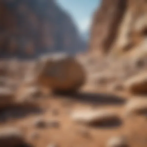 A scenic view of a rock collecting site with diverse geological formations