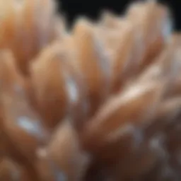 Close-up view of stilbite crystals showcasing their unique formations