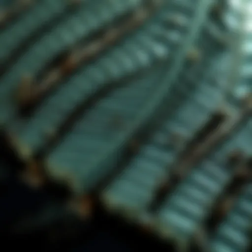 Close-up of seraphinite revealing its unique feather-like patterns