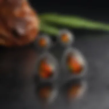 Display of ammolite earrings in an elegant setting