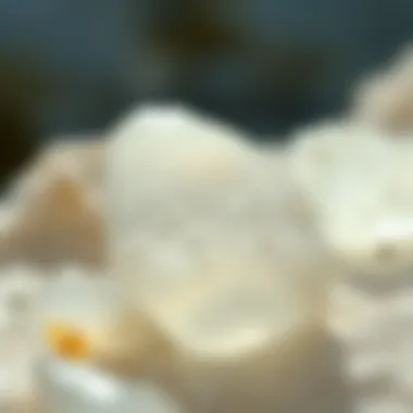 Close-Up of Sea Glass Texture An intricate close-up of a single piece of sea glass, revealing its texture and the way light interacts with its surface.