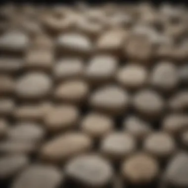 Artistic Display of Scripture Stone Collection A collection of scripture stones displayed artistically
