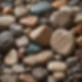 A close-up of a diverse collection of rocks showcasing various textures and colors