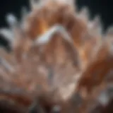 A close-up view of a glittering quartz crystal showcasing its intricate facets