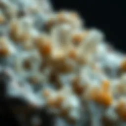 Close-up of a raw mineral specimen showcasing unique crystalline structures