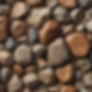 A close-up of unique rock textures highlighting their geological formations.