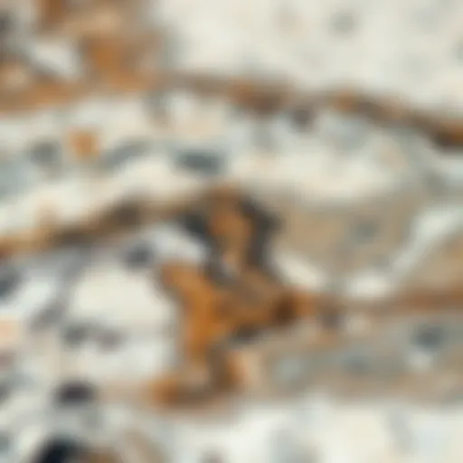 A close-up view of a polished granite surface showcasing its intricate patterns and colors.