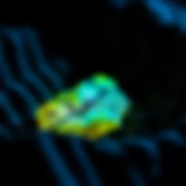 Safety precautions for using blacklight lanterns