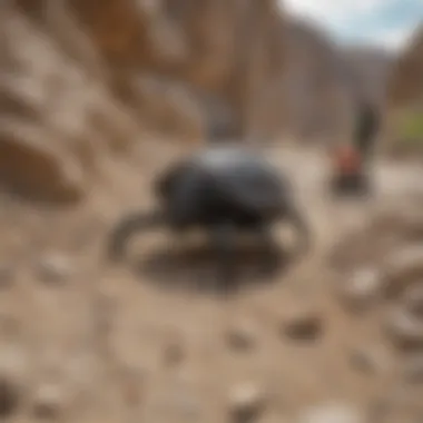 Visitors exploring the Trilobite Quarry