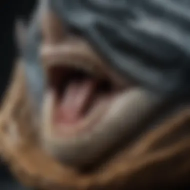 Close-up view of a megalodon tooth showcasing its serrated edges