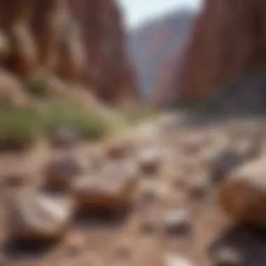 An expansive view of a Colorado canyon highlighting the interplay of various rock types.