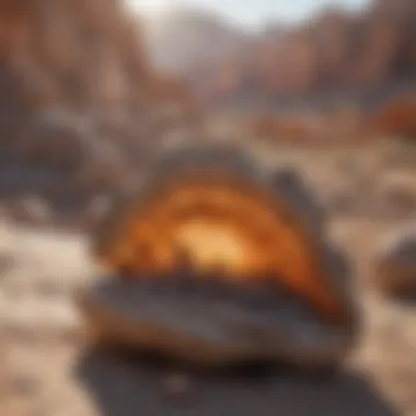Geological Layers: The Story of Utah's Fossils Geological layers revealing fossilized remains