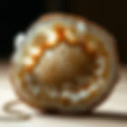 Intricate structure of a geode showcasing crystal formations