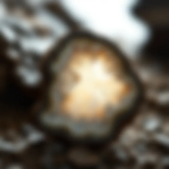 A stunning geode showcasing its crystal-lined interior