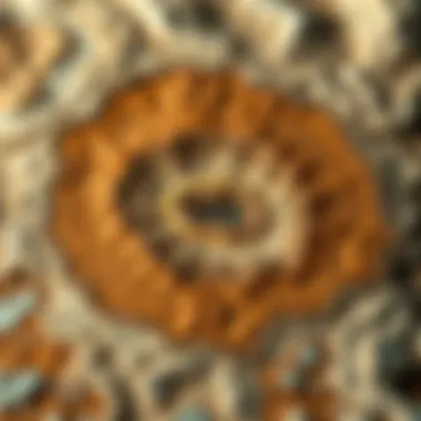 A geological map indicating geode formation regions