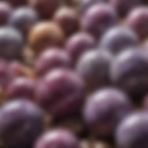 A stunning display of polished lepidolite spheres showcasing their vibrant purple hues and intricate patterns.