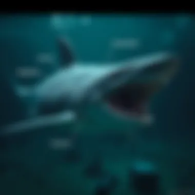 Diagram illustrating megalodon anatomy focusing on its size features