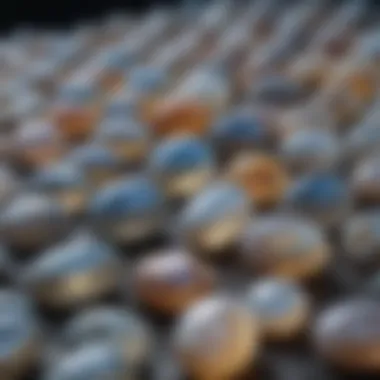 Collection of Moonstone Color Variations Different color variations of moonstone displayed in a collection