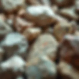 Close-up view of various rock samples showcasing unique textures and colors