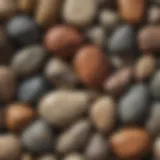 Close-up of various rock types showcasing textures and colors