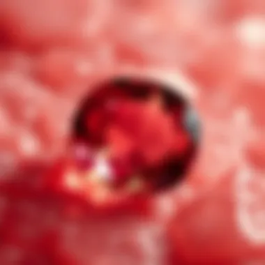 Close-up of a ruby highlighting its clarity and internal characteristics.