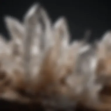 A close-up view of different quartz crystals showcasing various colors and clarity